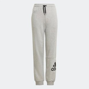 Брюки Essentials Sportswear GN4016 цена