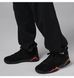 Штани чоловічі Air Jordan Brk Vt Oh Pnt Bb IO9825-010 ціна