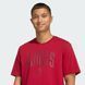 Футболка чоловіча Collegiate Lineage Graphic Sportswear KH4593 ціна