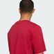 Футболка чоловіча Collegiate Lineage Graphic Sportswear KH4593 ціна
