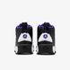 Кроссовки Jordan Jumpman Pro Black / Field Purple DN3686-105 цена