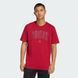 Футболка чоловіча Collegiate Lineage Graphic Sportswear KH4593 ціна