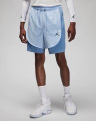 Шорты мужские Nike Jordan MJ Essentials DZ0573-425 цена