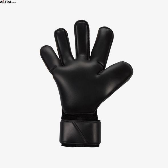 Вратарские перчатки NIKE NK GK GRP3 - HO23 FB2998-013 цена