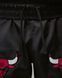 Чоловічі шорти JORDAN M J FLT MUAY THAI SHORT IF1921-010 ціна
