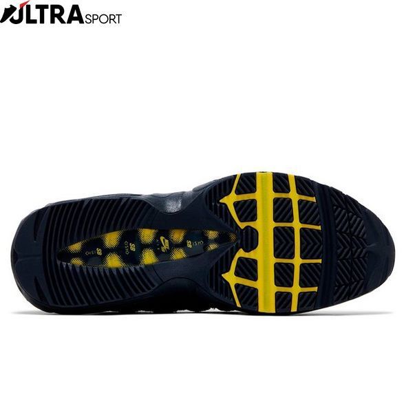 Кросівки чоловічі Nike Sb Air Max 95 HQ8492-400 ціна