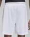 Шорты мужские Jordan Sport Men's Dri-Fit FN5816-100 цена