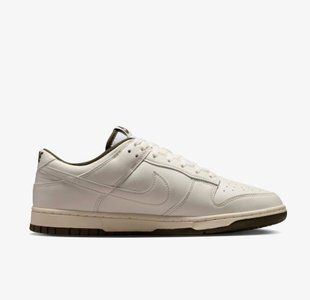 Мужские кроссовки NIKE DUNK LOW RETRO HF5441-011 цена