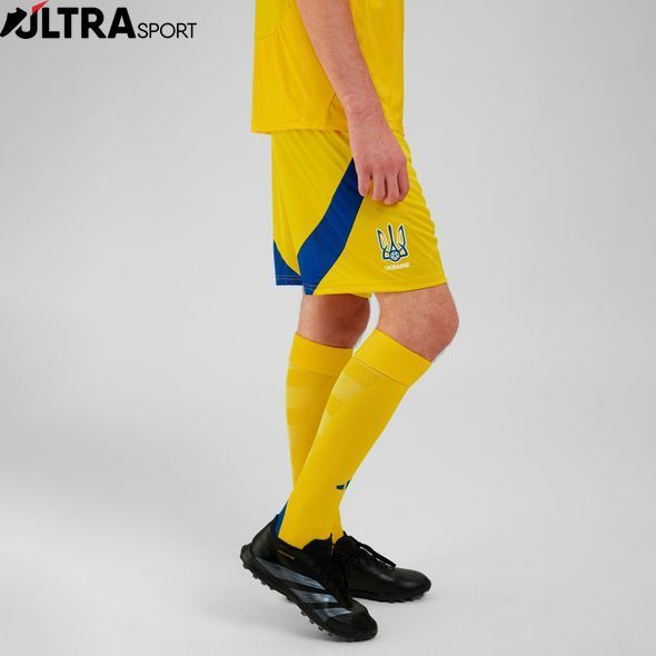 Чоловічі домашні шорти Україна 24 IK2248 ціна