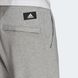 Брюки Adidas Sportswear Future Icons Logo Graphic Sportswear H39795 цена