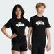 Футболка детская adidas Graphic T-Shirt Kids IZ0418 цена