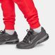 Штани Nike M Tch Fleece Jggr FZ4710-657 ціна