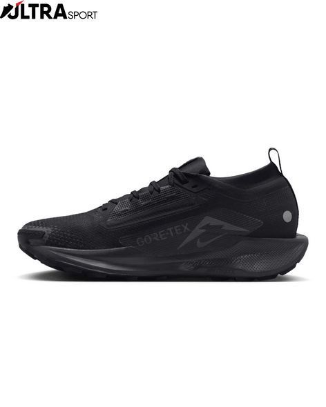 Кроссовки мужские NIKE PEGASUS TRAIL 5 GTX FQ0908-002 цена