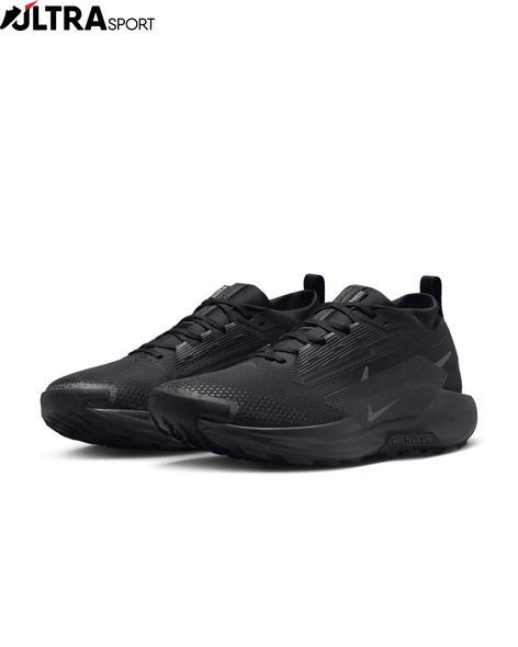 Кроссовки мужские NIKE PEGASUS TRAIL 5 GTX FQ0908-002 цена