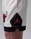 Чоловічі шорти JORDAN M J FLT MUAY THAI SHORT IF1921-133 ціна