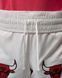 Чоловічі шорти JORDAN M J FLT MUAY THAI SHORT IF1921-133 ціна