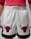 Чоловічі шорти JORDAN M J FLT MUAY THAI SHORT IF1921-133 ціна