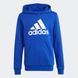 Худи детское Big Logo Essentials Cotton IC6834 цена