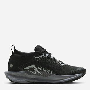 Кросівки жіночі Nike Pegasus Trail 5 Gore-Tex FQ0912-001 ціна