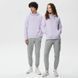 Толстовка Converse CLASSIC FIT LEFT CHEST STAR CHEVRON EMBROIDERED 10023874-533 ціна
