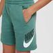 Шорти дитячі NIKE K NSW CLUB FT FD2997-361 ціна