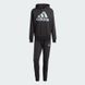 Мужской спортивный костюм Adidas Kit Sportswear M Bl Ft Hd Ts Black IJ8555 цена