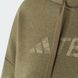 Худі чоловіче Terrex Logo Grande IW3802 ціна