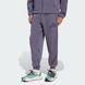 Спортивные мужские штаны adidas Z.N.E. Sportswear JW4727 цена