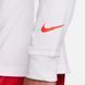 Чоловіча футболка З Довгим Рукавом Nike Lebron James M Tee Ls Sp24 FQ4908-100 ціна