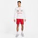 Чоловіча футболка З Довгим Рукавом Nike Lebron James M Tee Ls Sp24 FQ4908-100 ціна
