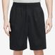 Шорти Nike U Nk Sb Skyring Short DV9069-010 ціна