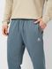 Брюки Converse STAR CHEV FLEECE PANT FT NEWTRAL TEAL 10023873-459 цена