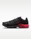 Кроссовки мужские Nike Air Max Plus IX0385-001 цена