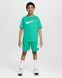 Шорти дитячі Nike Multi Older Kids' (Boys') Dri-FIT Shorts HF9121-324 ціна
