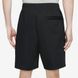 Шорти Nike U Nk Sb Skyring Short DV9069-010 ціна