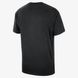 Чоловіча футболка Nike Lal M Cts Stmt M90 Sstee FN1069-010 ціна