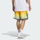 Шорти чоловічі adidas Crazy Lite AOP Performance JM6836 ціна