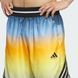 Шорти чоловічі adidas Crazy Lite AOP Performance JM6836 ціна
