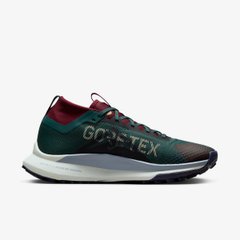 Кросівки Nike React Pegasus Trail 4 Gtx DJ7926-302 ціна