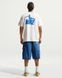 Чоловіча футболка NIKE M NSW TEE LSE CELEB FB 2 IR5773-133 ціна