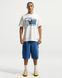 Чоловіча футболка NIKE M NSW TEE LSE CELEB FB 2 IR5773-133 ціна