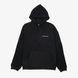 Толстовка Converse Goto Iteration Hoodie 10025234-001 цена