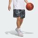 Мужские шорты adidas Crazy Lite AOP Performance JN2460 цена