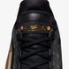 Чоловічі кросівки NIKE LEBRON XXIII CHOSEN ONE IF0694-001 ціна