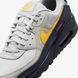 Кроссовки мужские NIKE AIR MAX 90 IF0670-001 цена