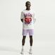 Мужская футболка NIKE BASKETBALL II6572-133 цена