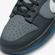Кросівки Nike Dunk Low FV0384-001 ціна