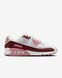 Кросівки жіночі Nike Air Max 90 HM9451-600 ціна