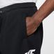 Шорти чоловічі Nike Club Alumni Ft FQ4950-010 ціна