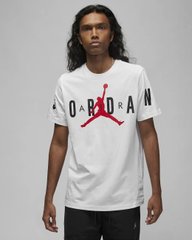 Футболка мужская Nike Jordan Air Stretch Crew 100 DV1445-100 цена